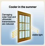 Solar  Protection Window Film